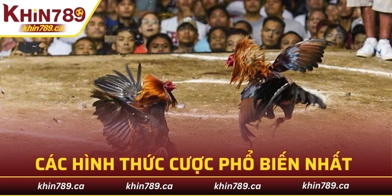 Các hình thức cược phổ biến nhất