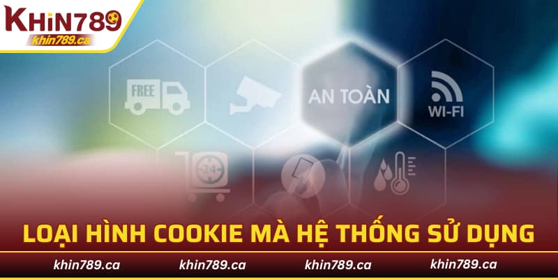 Các loại hình cookie mà hệ thống sử dụng
