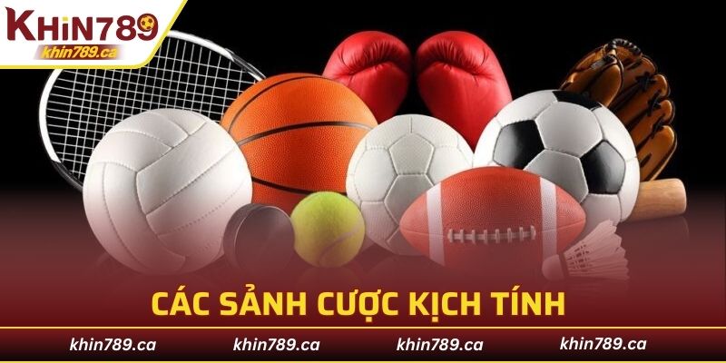 Các sảnh cược kịch tính có mặt tại chuyên mục