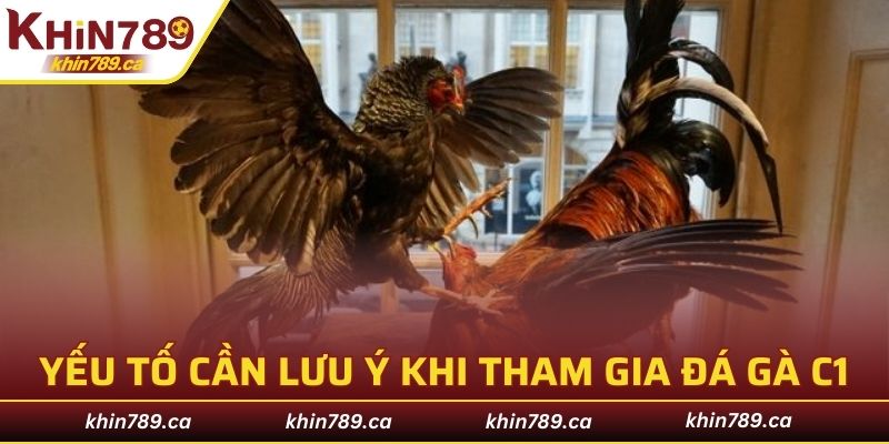 Các yếu tố cần lưu ý khi tham gia đá gà C1