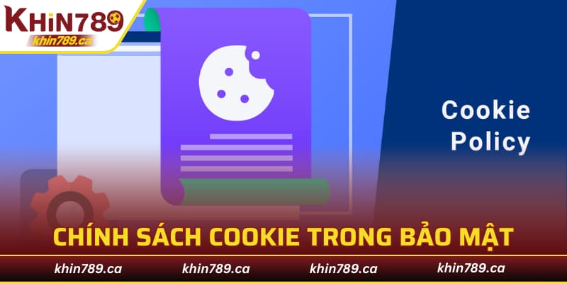 Chính sách cookie trong bảo mật và phòng chống gian lận