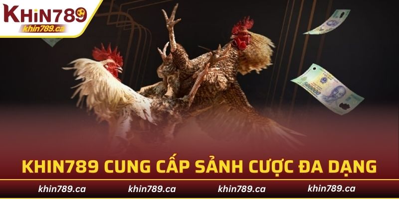 KHIN789 cung cấp sảnh cược đa dạng, độc đáo