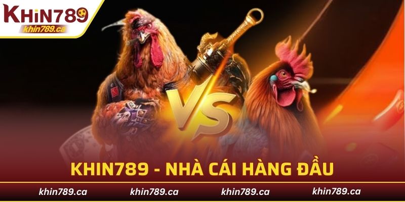 KHIN789 - Nhà cái hàng đầu trong lĩnh vực đá gà giải trí