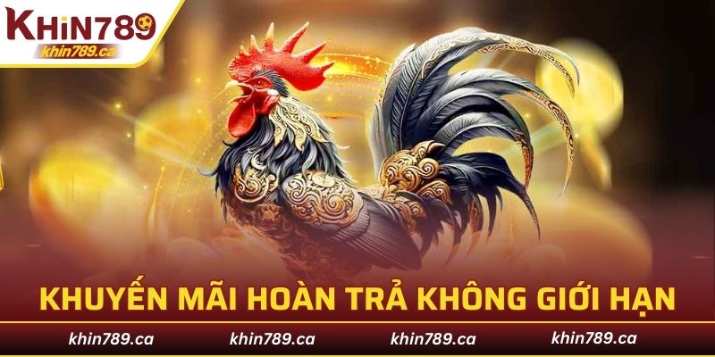 Khuyến mãi hoàn trả không giới hạn tại sảnh đá gà độc quyền
