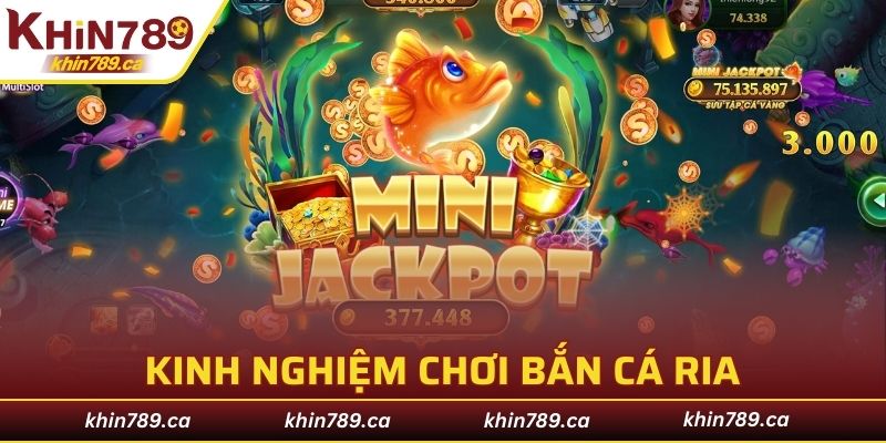 Kinh nghiệm sử dụng chiến thuật bắn ria hiệu quả