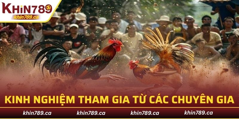 Kinh nghiệm tham gia từ các chuyên gia