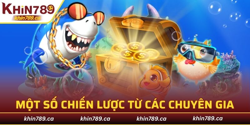 Một số chiến lược từ các chuyên gia hàng đầu