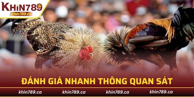 Nhận định trực tiếp, đánh giá nhanh thông quan sát
