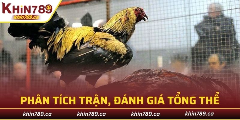 Phân tích trận, đánh giá tổng thể để có kết quả chính xác