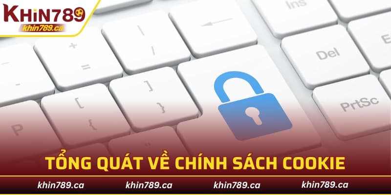 Tổng quát về khái niệm và vai trò của chính sách cookie